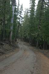 Road to Windigo Pass