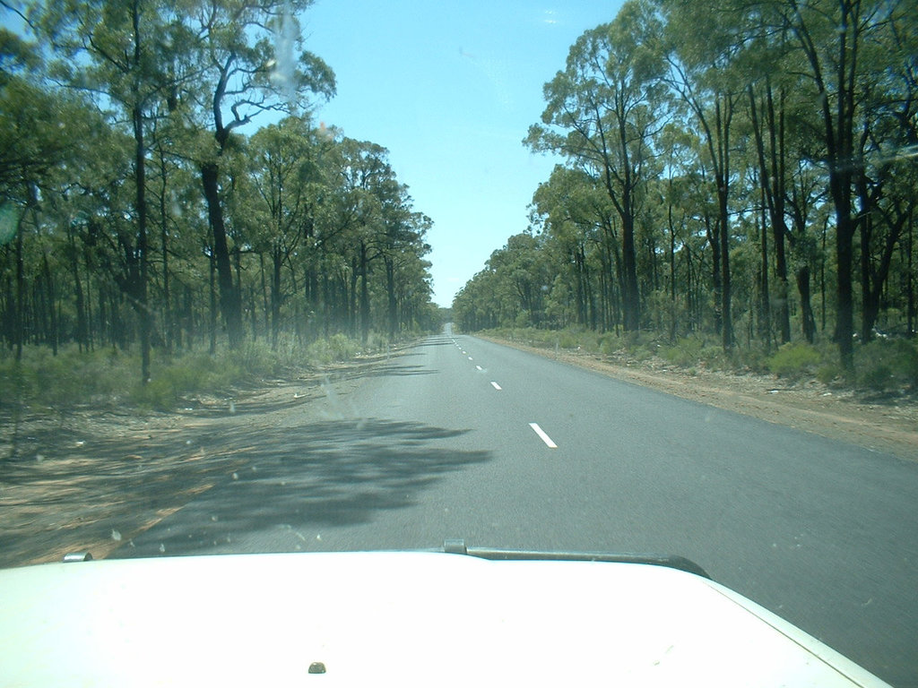 Jersey 293 Dubbo - Coonabarabran