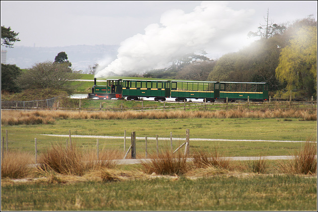 Margam Park Railway