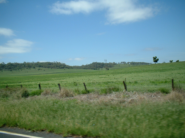 Jersey 296 Dubbo - Coonabarabran