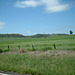 Jersey 296 Dubbo - Coonabarabran