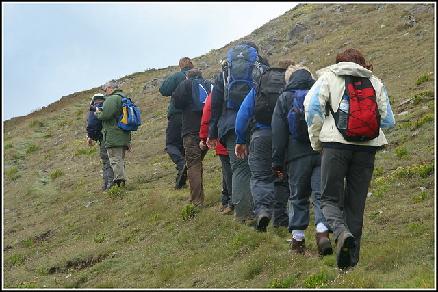 The sheep track