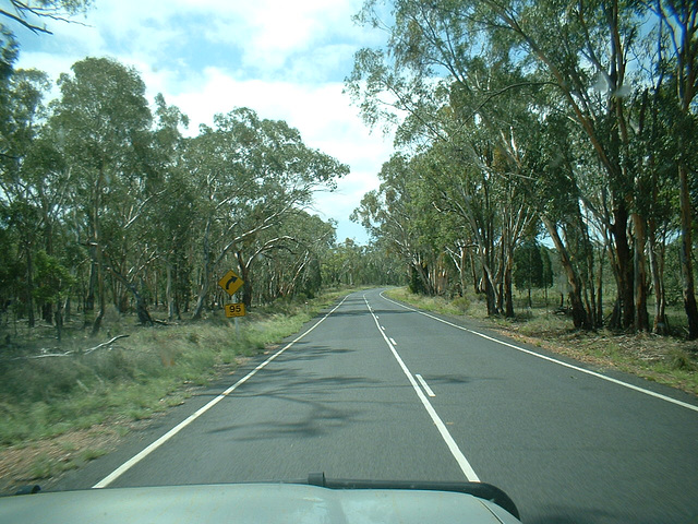 Jersey 297 Dubbo - Coonabarabran