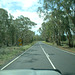 Jersey 297 Dubbo - Coonabarabran