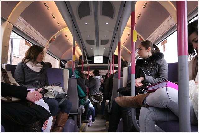 Birds on a 'bendy' bus