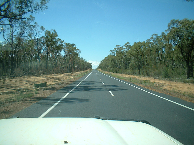 Jersey 301 Coonabarabran - Narrabri