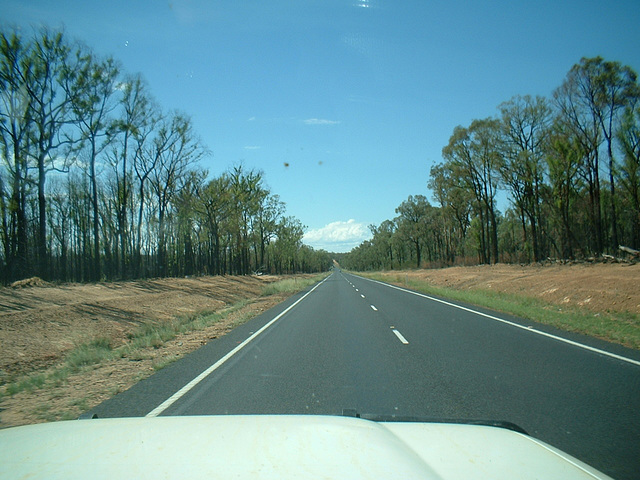 Jersey 302 Coonabarabran - Narrabri