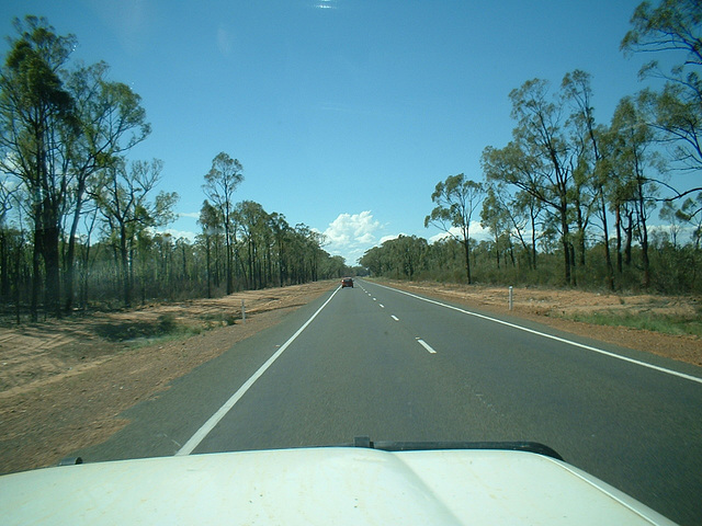 Jersey 304 Coonabarabran - Narrabri