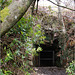 Margam Park Mine Adit