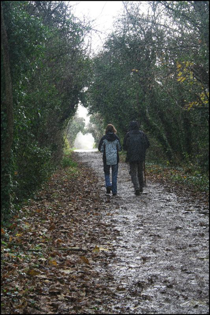 in the rain