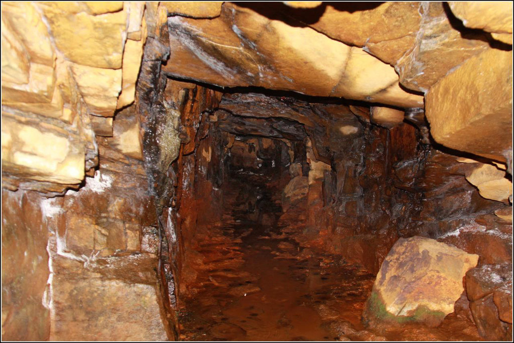 Margam Park Mine Adit