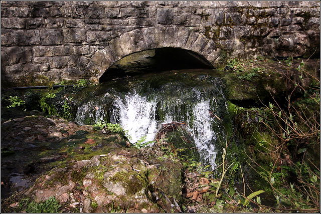 A babbling brook