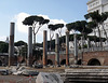 The Basilica Ulpia in Rome, July 2012