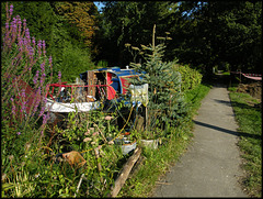 canalside crimble tree in August