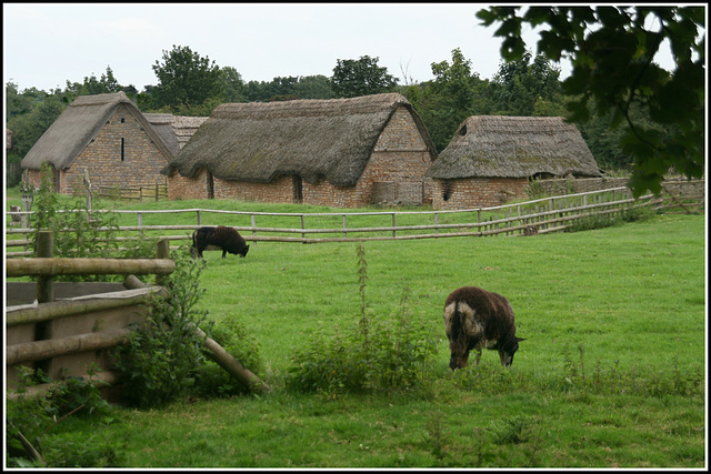 Medieval Village