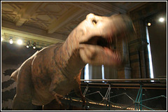 Who's upset the T-REX!!!