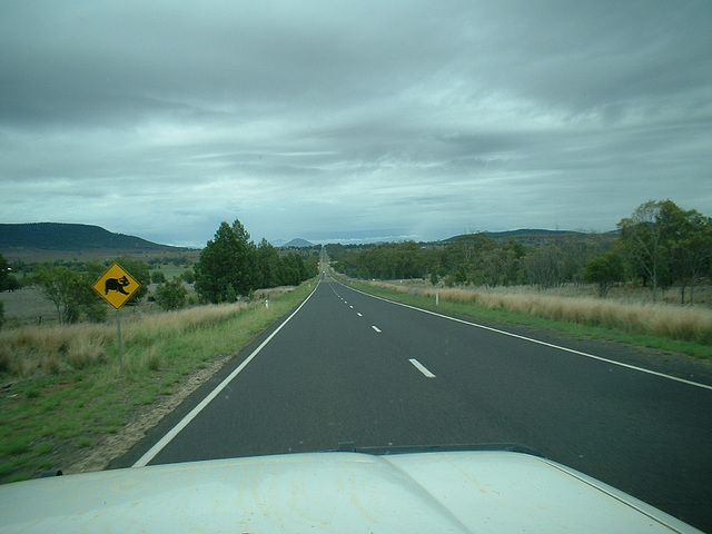 Jersey 332 Gunnedah - Coonabarabran