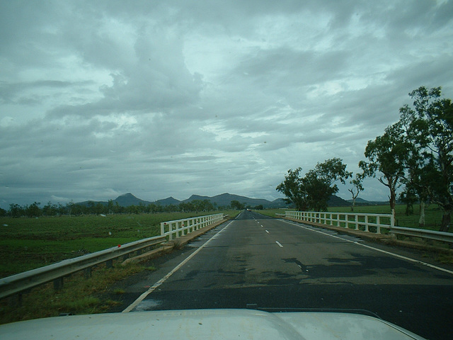 Jersey 333 Gunnedah - Coonabarabran