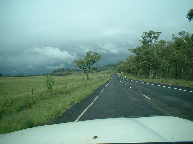 Jersey 337 Gunnedah - Coonabarabran