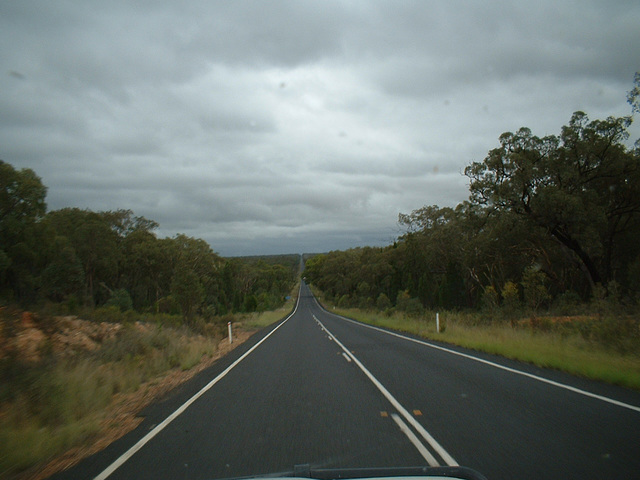 Jersey 338 Gunnedah - Coonabarabran