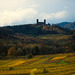 Le Château et les vignes d'Andlau - Bas-Rhin