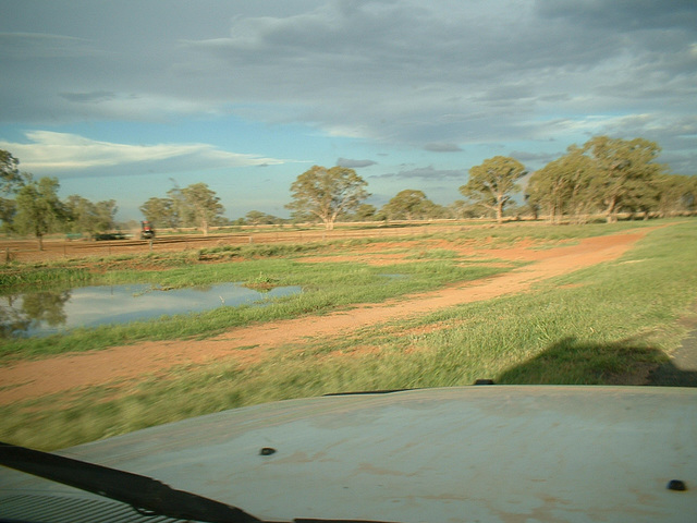 Jersey 349 Coonamble - Quambone