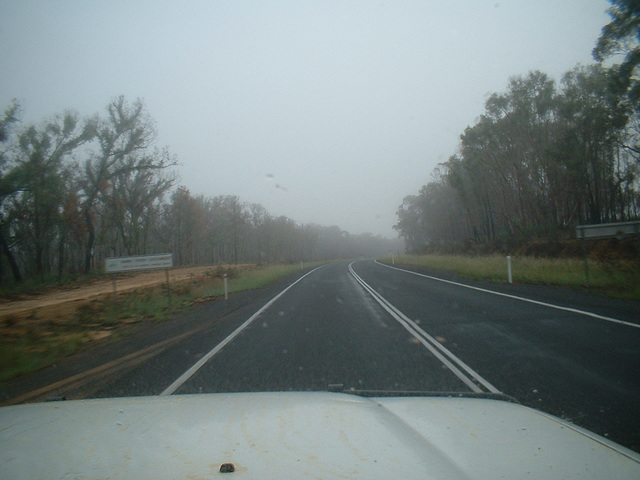 Jersey 354 Coonabarabran - Narrabri