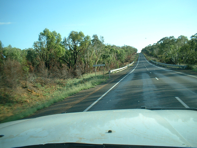 Jersey 357 Coonabarabran - Narrabri