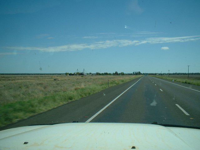 Jersey 366 Narrabri - Moree