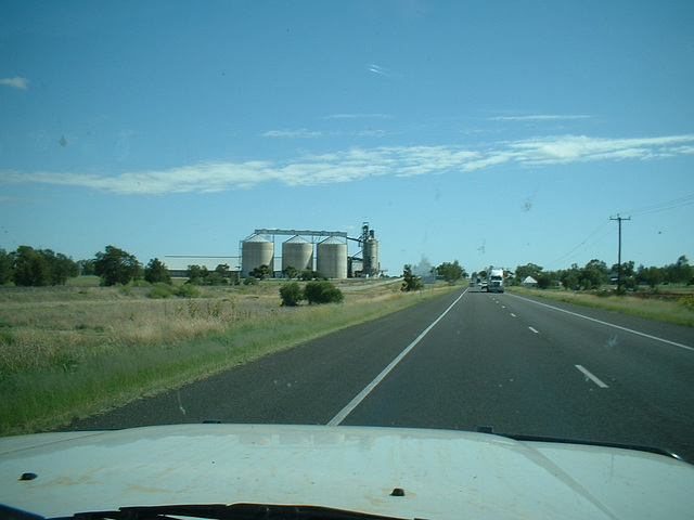 Jersey 367 Narrabri - Moree