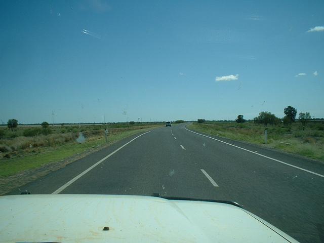 Jersey 368 Narrabri - Moree