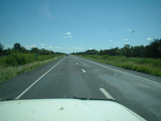 Jersey 372 Moree - Goondiwindi