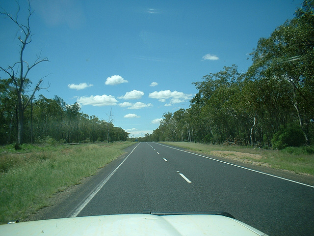 Jersey 378 Goondiwindi - Warwick