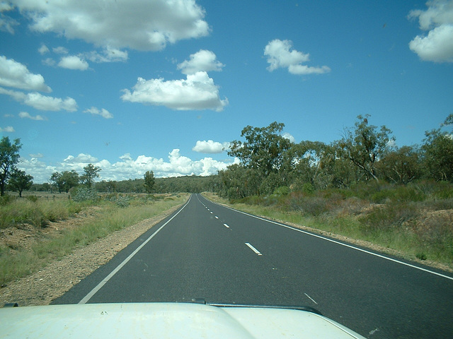 Jersey 381 Goondiwindi - Warwick