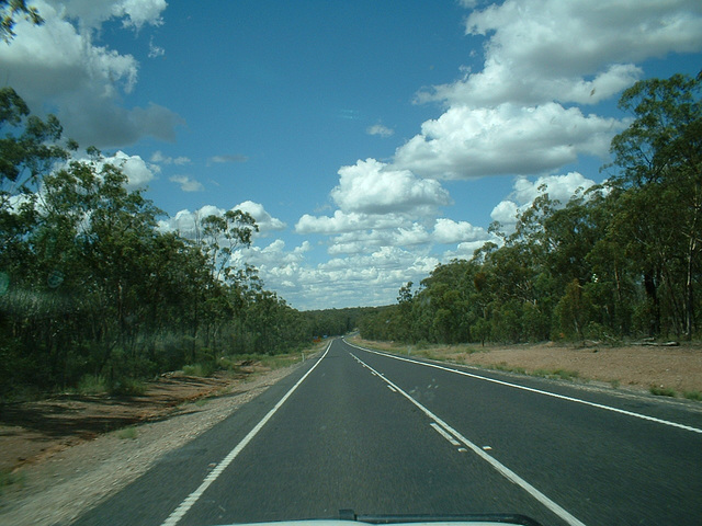 Jersey 383 Goondiwindi - Warwick