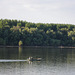 Le Danube à Ilidza 3