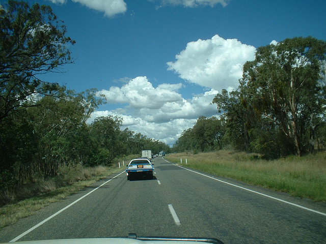 Jersey 385 Goondiwindi - Warwick