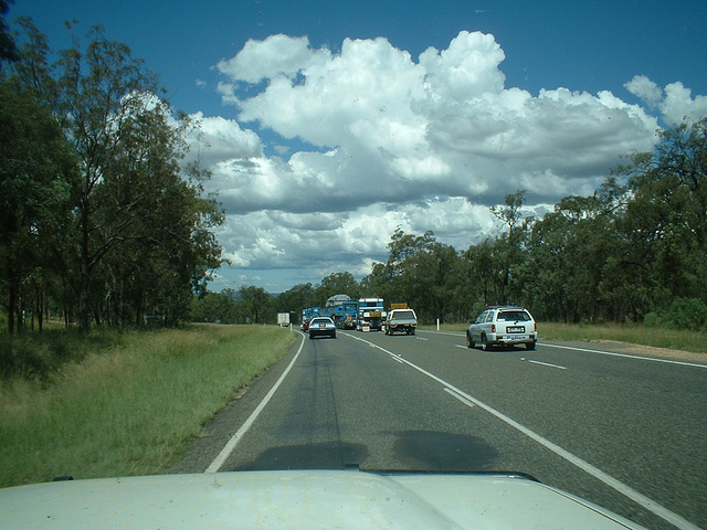 Jersey 386 Goondiwindi - Warwick