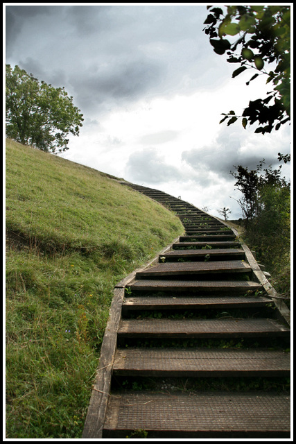 Hillside steps