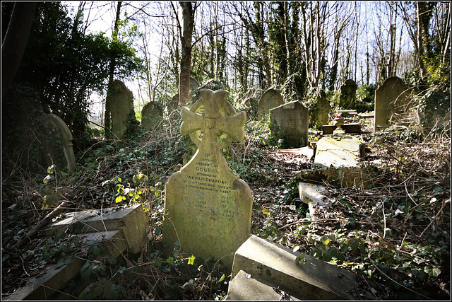 Undergrowth