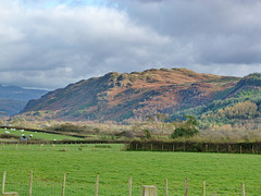 Muncaster Fell