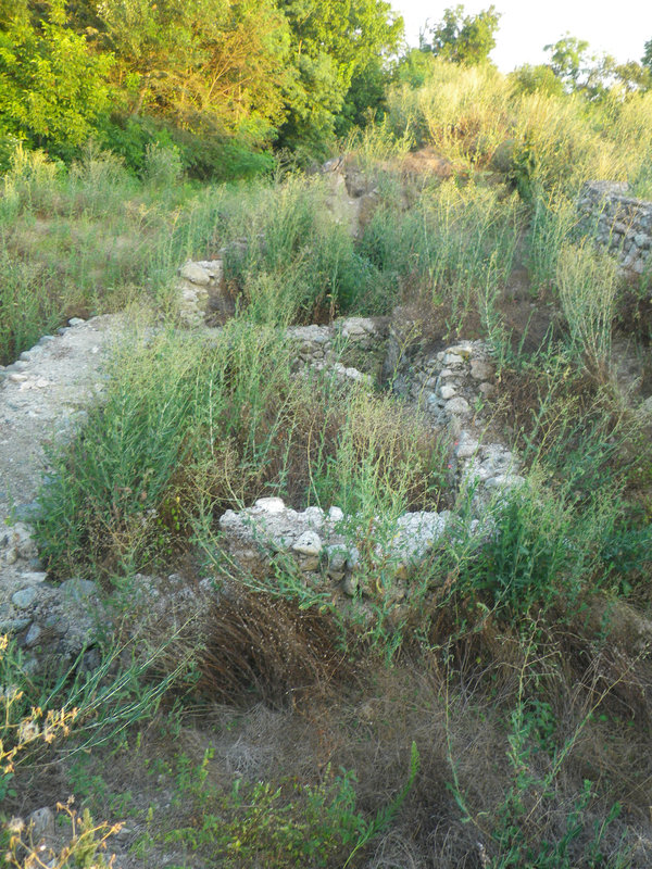 Timacum minus : structure intérieure.