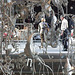 Detail of "Aluminum Foil Thing" Sculpture by Tom Friedman at Lever House, June 2007