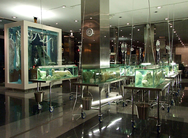 Damien Hirst Exhibition at Lever House, February 2008