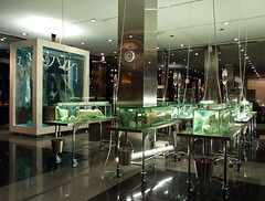 Damien Hirst Exhibition at Lever House, February 2008