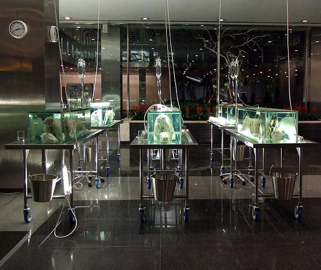 Detail of the Damien Hirst Exhibition at Lever House, February 2008