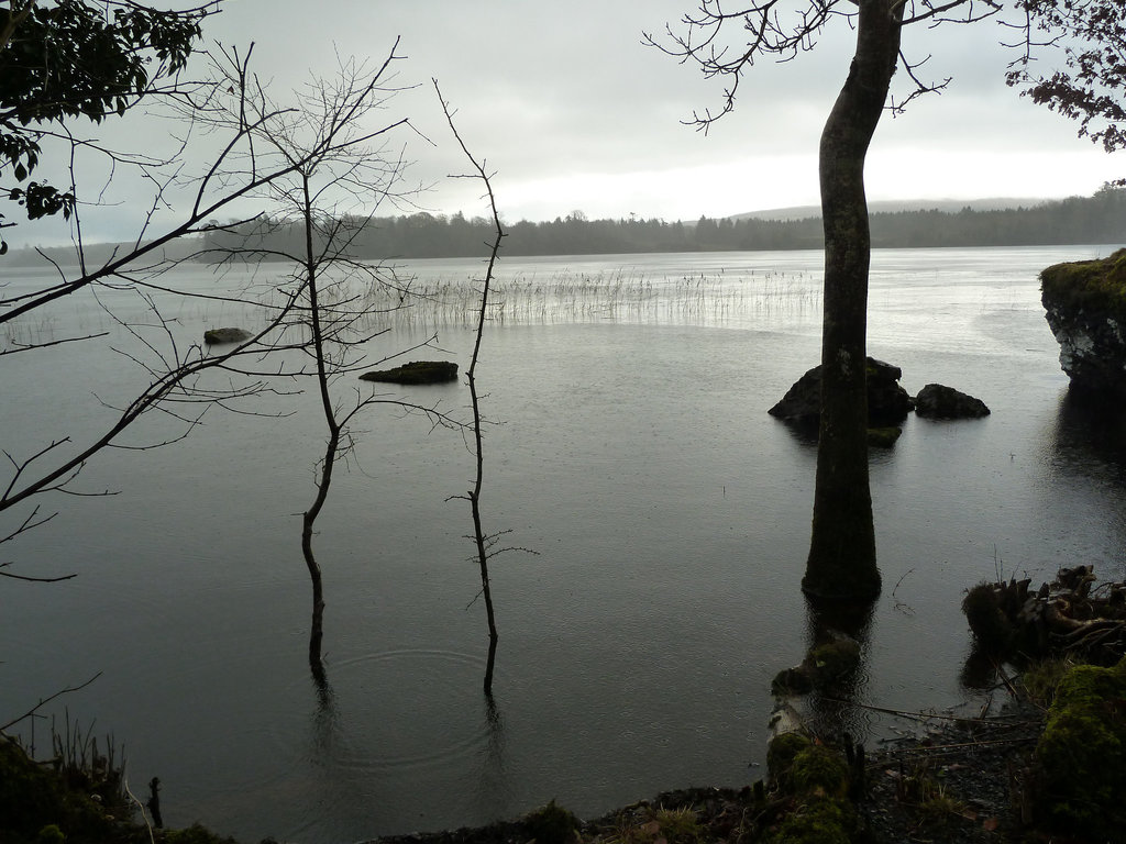 Lough Cutra - Jan 2013