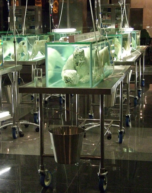 Detail of the Damien Hirst Exhibition at Lever House, February 2008