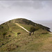 Looking seaward