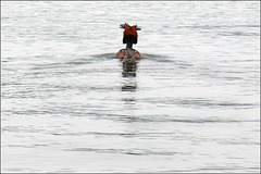 Grebe departure